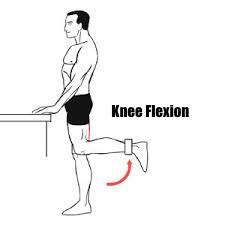 Knee Flexion Squat University
