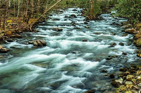 This Is The Little Pigeon River Near Gatlinburg Tennessee