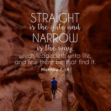 You are already in the strait and narrow path, and there is hope smiling brightly before you. Strait is the gate and narrow is the way which leadeth ...