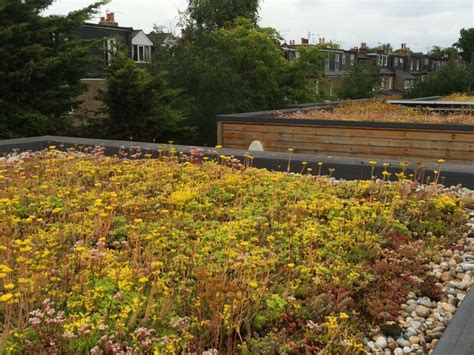 I'd say that a bag of red apples at publix costs $1.29 for 1 pound. How Much Does A Green Roof Cost Per M2? | Sky Garden