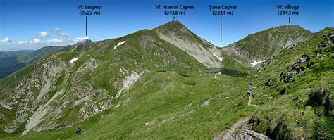 Anual se organizeaza astfel de actiuni pe traseele montane din muntii fagarasului la iesirea din iarna. Jurnale - 12-13 iulie 2008 :: De la Balea la Moldoveanu ...