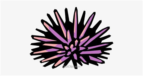 Sea Urchin Royalty Free Vector Clip Art Illustration Sea Urchin