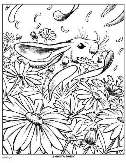 Features 40 flower coloring pages with stunning floral designs and 50 signature blend & shade colored pencils in a storage tin. Daisy Flower | crayola.com