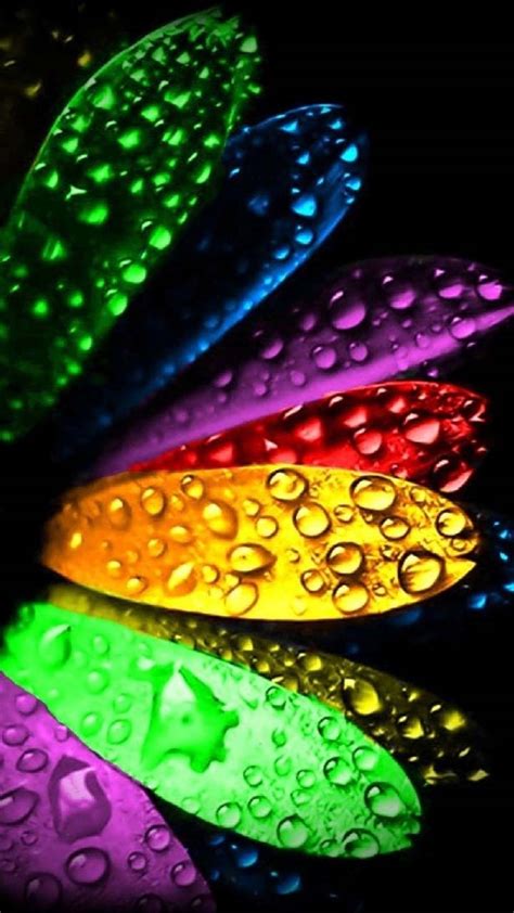 Download Free Mobile Phone Wallpaper Rainbow Petals 2758
