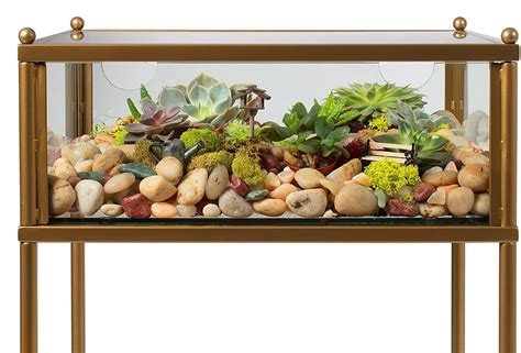 Pair with the terrarium display end table and terrarium display console table (sold separately) this item is not suitable for live animals, do not use the glass display as an animal habitat or enclosure. Terrarium Display End Table with Reinforced Glass in Gold ...