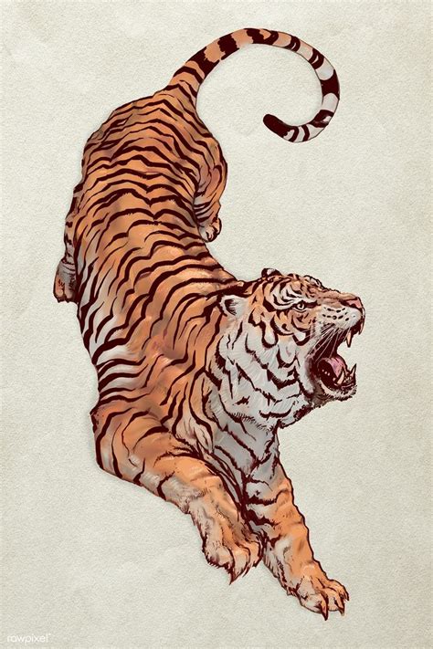Hand Drawn Roaring Tiger Illustration Premium Image By Rawpixel Com