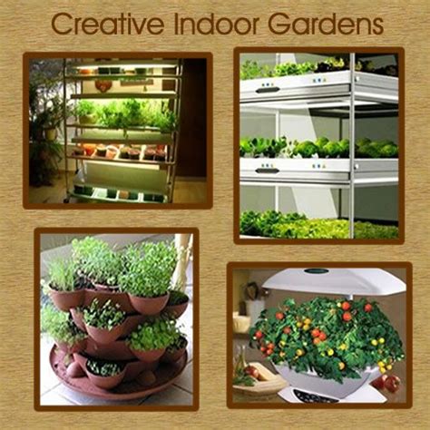 Indoor Vegetable Gardening Ideas Big Gardening