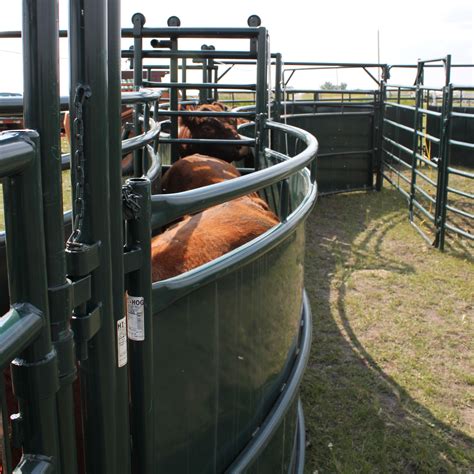 Corral And Handling System Design Guide Livestock Cattle Corrals Design