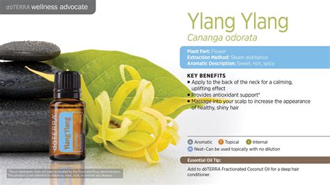 doterra ylang ylang essential oil valentine s day secret etsy