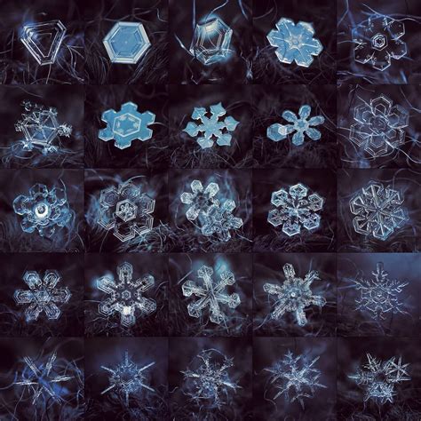 Macro Photos Of Real Snowflakes Alexey Kljatov Photography On