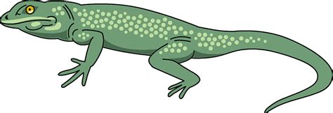 Lizard Clipart Images Free Download Png Transparent Background