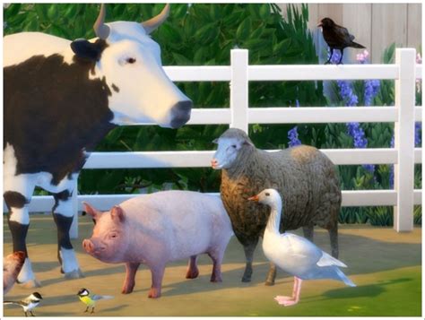 Animals Converted Part Ii At Sims By Severinka Sims 4 Updates