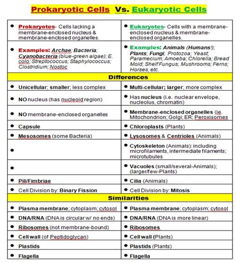 Learn about and revise cells and their functions with bbc bitesize for gcse biology, ocr 21c. Pin on College-Academics