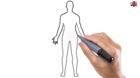 How To Draw A Male Body Easy Step By Step Drawing Tutorials For Kids