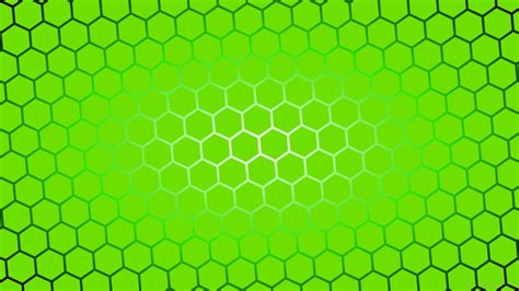Lime Green Wallpaper 77 Images