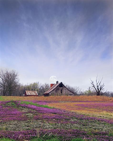 Cloverfield Photograph By Christopher Mckenzie Fine Art America
