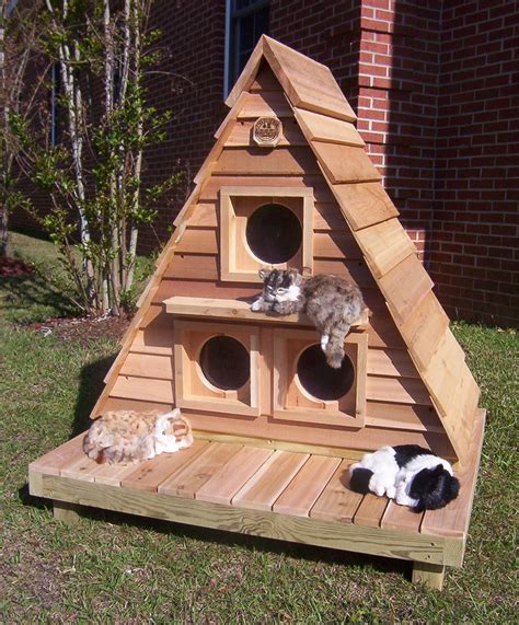 Outdoor Cat House For 3 6 Cats Customizable Free Shipping