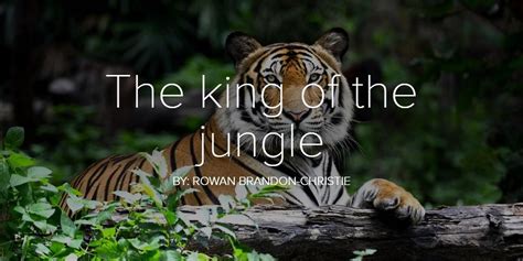 the king of the jungle