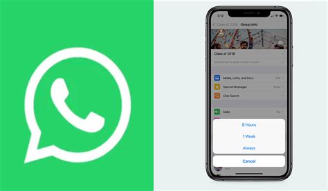 Whatsapp 2021 ¿cómo Puedo Eliminar Los Grupos Así Podrás Hacerlo