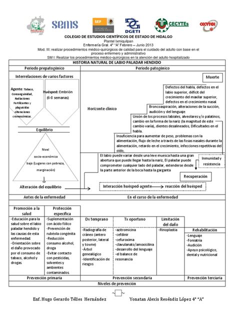 Check spelling or type a new query. Historia Natural de la Enfermedad