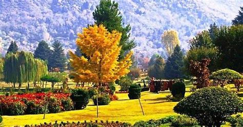 Neelam Valley Of Pakistan Imgur