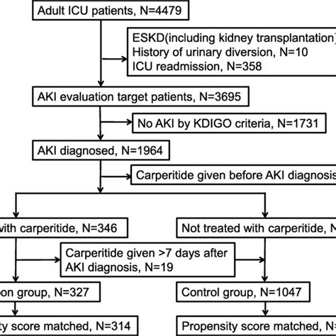 Flow Chart For Study Patients Aki Acute Kidney Injury Eskd End Stage