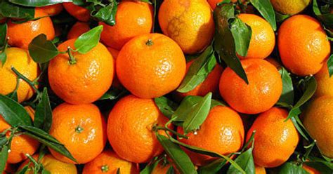 Awe Sum Organics Valencia Oranges