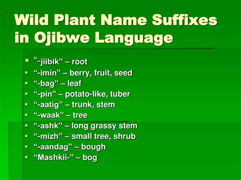 Ppt Ojibwe Naming Of Wild Plants Powerpoint Presentation Free
