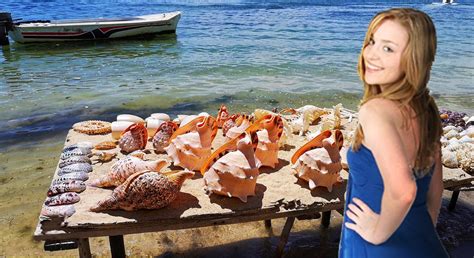 Report Sally Sells Seashells By The Seashore The Every Three Weekly