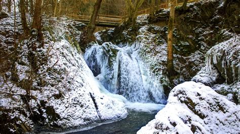 Landscape Nature Waterfall Snow Trees Forest Scenic