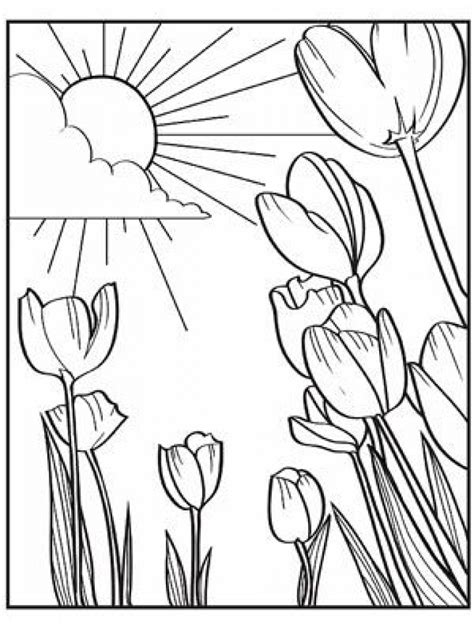 spring coloring pages   print jhdb