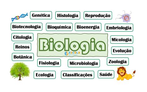 Mapas Mentais Biologia Mapas Mentais Biologia E Tabel Vrogue Co