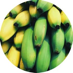 GI Tagged Nanjangud Banana - GI Tagged from of India
