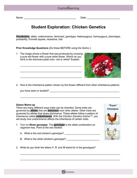 Start studying gizmo mouse genetics. Chicken genetics gizmo answer key NISHIOHMIYA-GOLF.COM