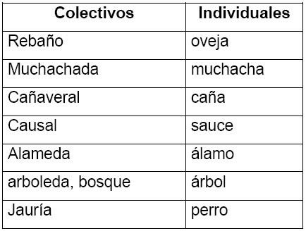 Los sustantivos colectivos designan agrupaciones de seres individuales (p. Ejemplos de sustantivos colectivos