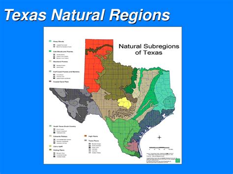Ppt Texas Natural Regions Powerpoint Presentation Free Download Id
