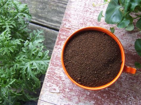 You can collect and store the if slugs and snails are your garden pests, sprinkle coffee grounds as a barrier. Using Coffee Grounds In The Garden | HGTV