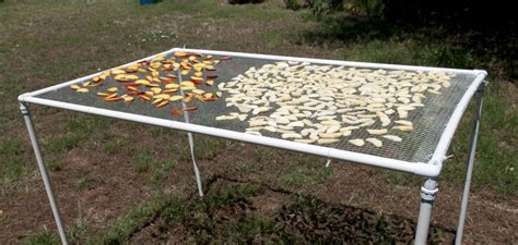 Buy loam full sun vegetables and get the best deals at the lowest prices on ebay! Dehydrator vs Sun Drying