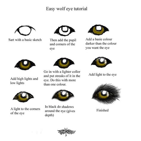 Easy Wolf Eye Turtorial By Snorgolwolks On Deviantart