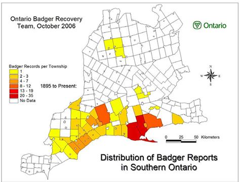 American Badger Recovery Strategy Ontarioca
