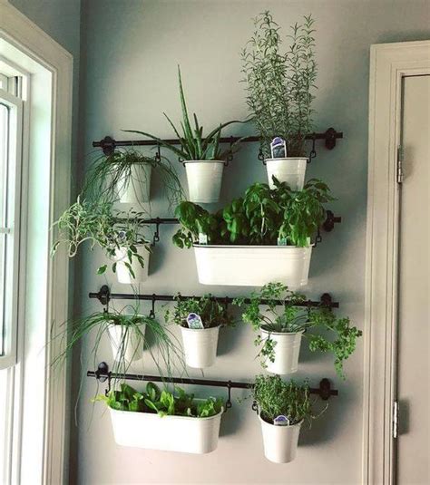 The good news is there are several plants that thrive indoors, including … 25 BEST INDOOR HERB GARDENS - Herb Planters for Kitchen ...