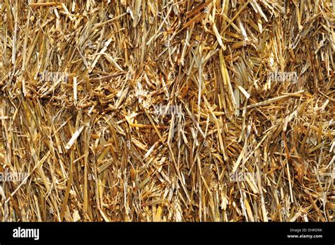 Closeup Of A Square Straw Bale Stock Photo Alamy