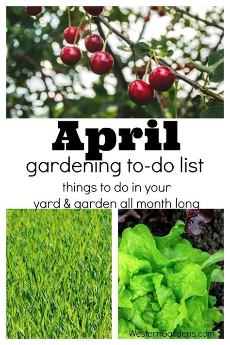 April Gardening Tips How To Get Your Garden Ready For Spring