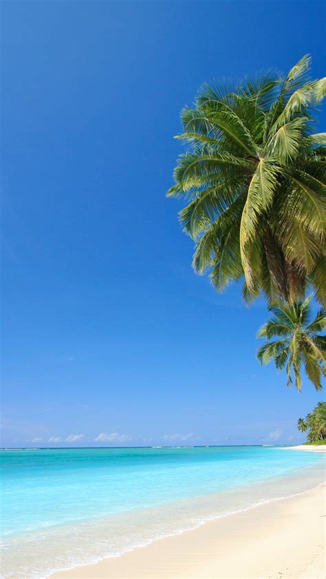 Free Download Beach Screensaver Wallpaper Tropical Beach Screensaver Hd