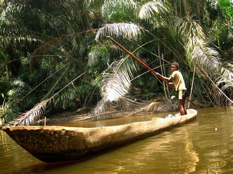 5 Day Hike In The Heart Of The Congo River Basin Rainforest Congo