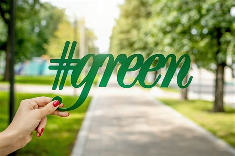 Going Green 5 Ways To Manage Your Waste Crave Magazine