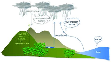 6 Natural Processes Of Oxygen Water Cycle Download Scientific Diagram