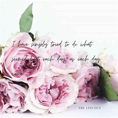 Pink Flowers Inspirational Instagram Quotes Social Media Quotes
