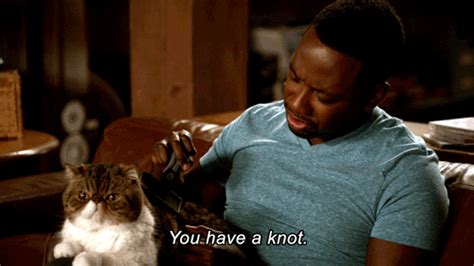 lamorne morris cat person by new girl find and share on giphy