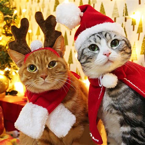 Funny Christmas Suit For Cats Hat And Scarfs Costume For Dogs Xmas